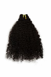 Image 1 of Burmese Curly