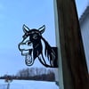 Horse - Funny