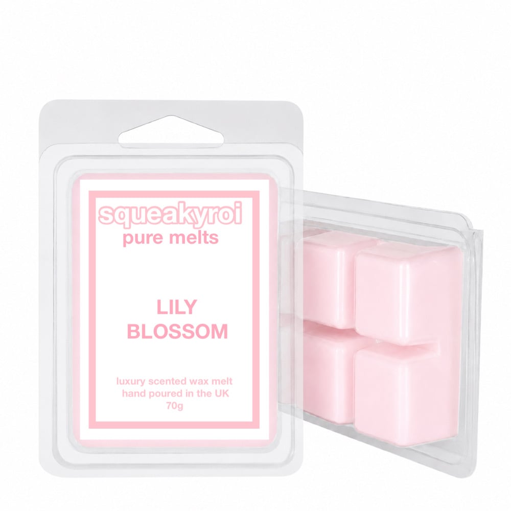 Image of Pure Melts WM Clean Scents Edition