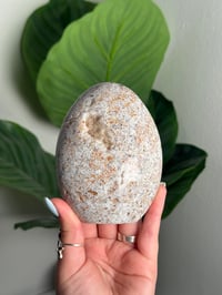 Image 1 of SEA JASPER FREEFORM -MADAGASCAR- L