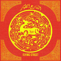 Salam Shalabi & Stefan Christoff. Flying Street