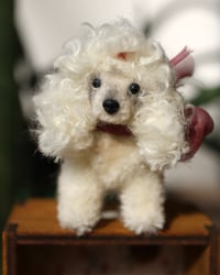 Image 2 of Pipe cleaner poodle in continental clip with wooden modular display