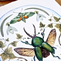 Image 5 of January Dome, Under Glass Collection