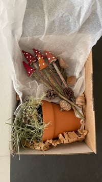 Image 4 of Mushroom Gardens 