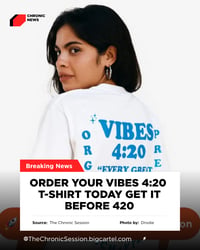 Image 2 of VIBES 420 T-Shirt 