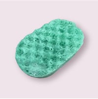 Image 2 of Scentral Large Soap Sponge| Approx. 150g 