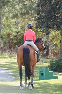 Image 3 of The Equestrian | Lipgloss 
