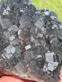 Image 11 of Green Cubic Fluorite Specimen #967