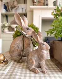 Image 1 of Neutral Spring Hares ( 2 Sizes )
