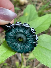 Image 3 of Sunset Canyon