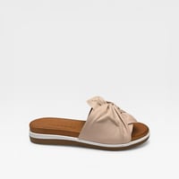 Image 6 of ROAMERS GALE CAMEO