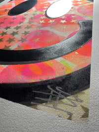 Image 3 of ACID JUNKIE 1009