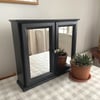  Painted Wooden Mirrored Cabinet