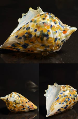 Image of Large Shell 2