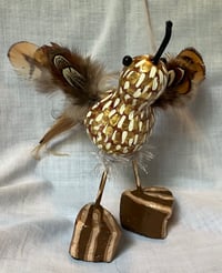 Image 3 of Brown Bird Gourds