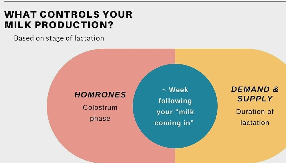 DATELY GRIND! Fresh Roasted Date Seed Grinds- DNA-Kidney-Liver-Fertility/Lactation-Smoking-Rest-Mood