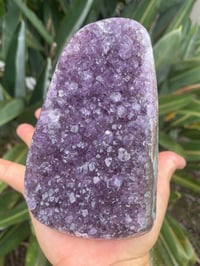 Image 1 of Amethyst Base Cut Polished Edge #1278