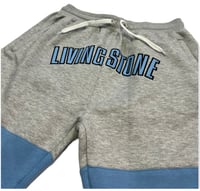 Image 2 of Livingstone “Alumni” Shorts 