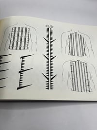 Image 2 of Fingerprints of the pacific 