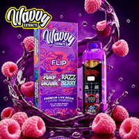 Image 5 of Wavvy 2g Flip 