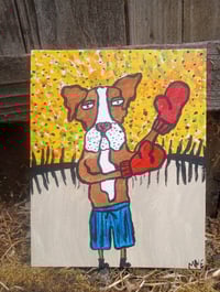 Image 2 of Boxer Boxing