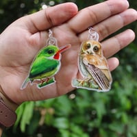 Image 3 of San Pedrito Earrings | Puerto Rican Tody