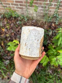 Image 3 of Speckled white cowpony + fox