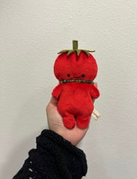 Tamara Tomato 🍅