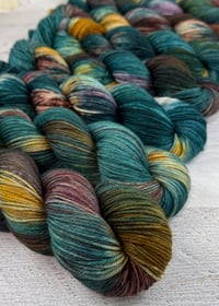 Image 4 of Autumn Spruce