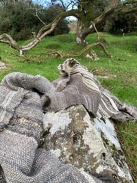 Image 14 of Made to Order: Mugwort Dreaming