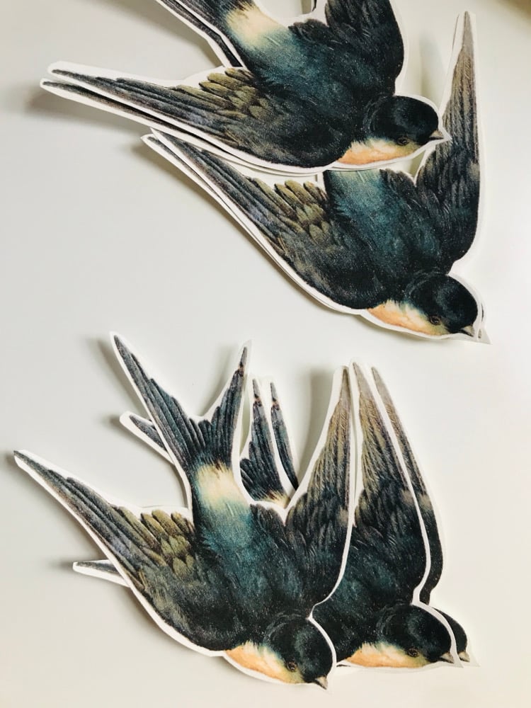 Image of 20 CUI-CUI