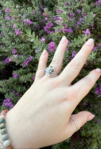 Image 4 of The Wild Rose Ring (8.5)