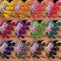 Image 3 of Glisten & Glow The Zodiac Collection (Full 12 Piece Collection)