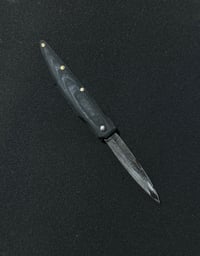 Image 1 of shrimp barb mod 2