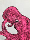 ‘Hot Pink Octopus’ (No. 2 of 20)