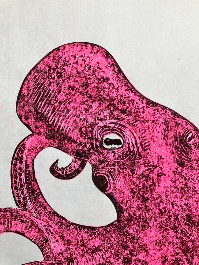 ‘Hot Pink Octopus’ (No. 2 of 20)