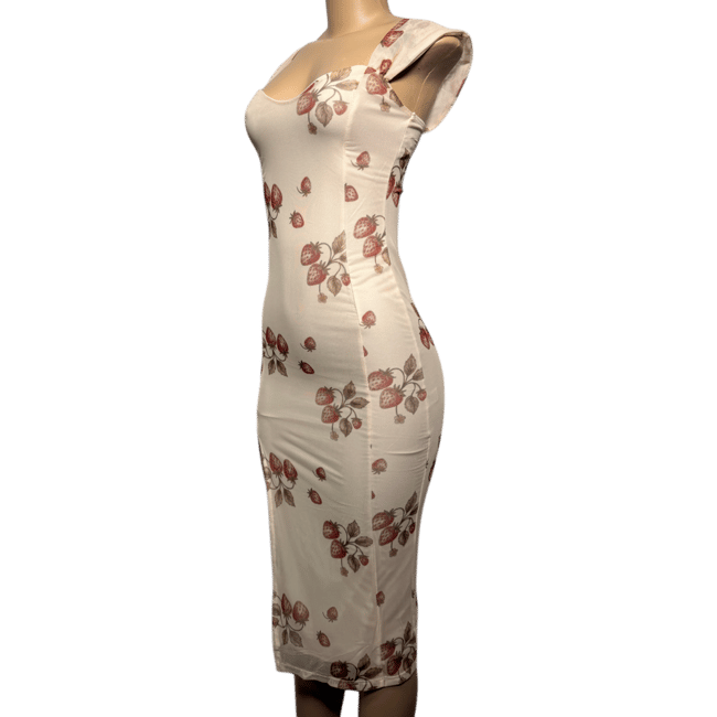 Strawberry Meadow Dress 