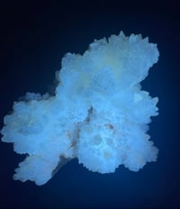 Image 2 of White Calcite Crystal Reef Formation Specimen #1240