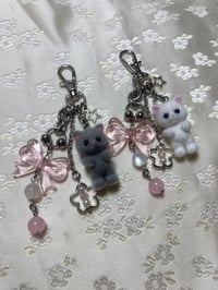 Image 1 of Koshi Kittens Clip