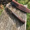 Image of 95mm Half Tang small skinner Magnacut Myall