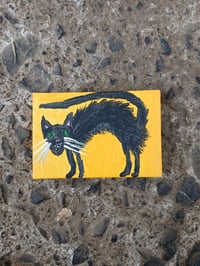 Image 10 of Scaredy Cat