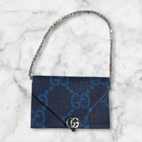 Image 1 of The Blue Bag