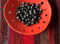 Image 1 of CARTOON FEAST ▲●◼ berry dish