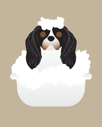 Image 7 of King Charles Cavalier Collection