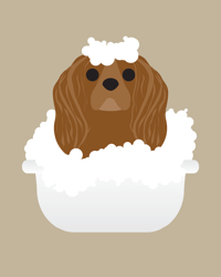 Image 8 of King Charles Cavalier Collection