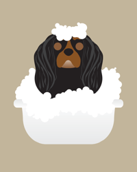 Image 6 of King Charles Cavalier Collection