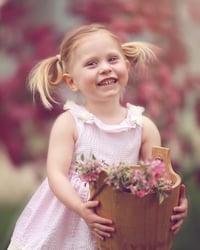 Image 5 of Cherry Blossom minis - Holden MA 