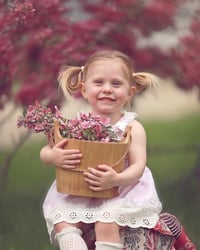 Image 3 of Cherry Blossom minis - Holden MA 