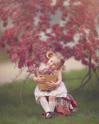 Image 4 of Cherry Blossom minis - Holden MA 