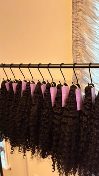 Image 2 of Burmese Curly